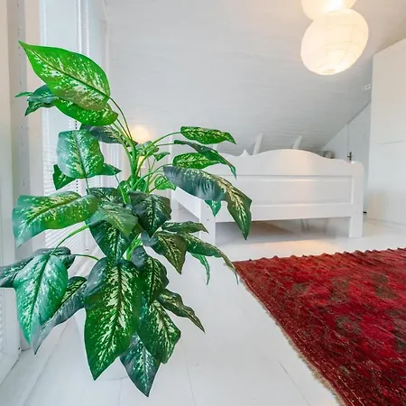 Nomme Homestay * Ταλίν
